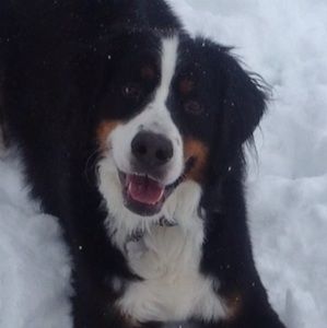 Meet your Posher, Seth